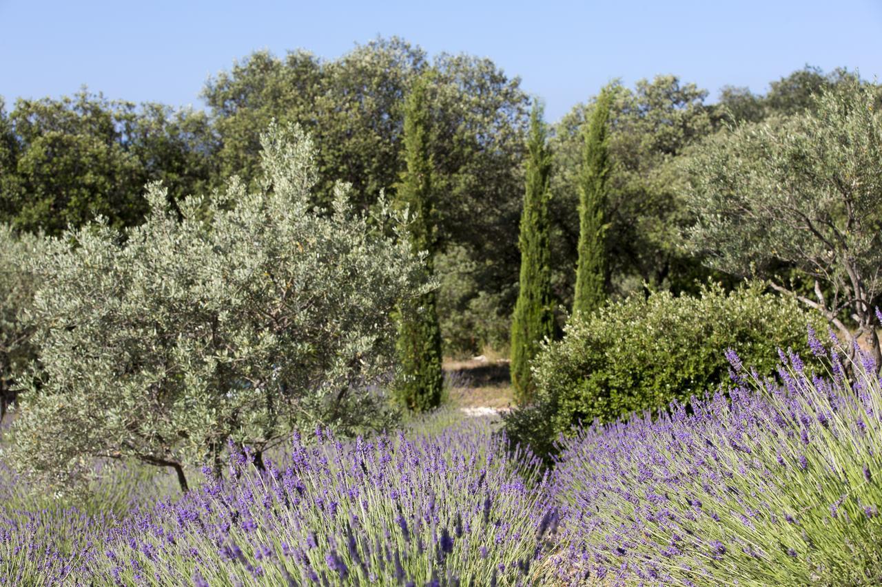 La Cle Des Champs, Boutique & - De Garrigon